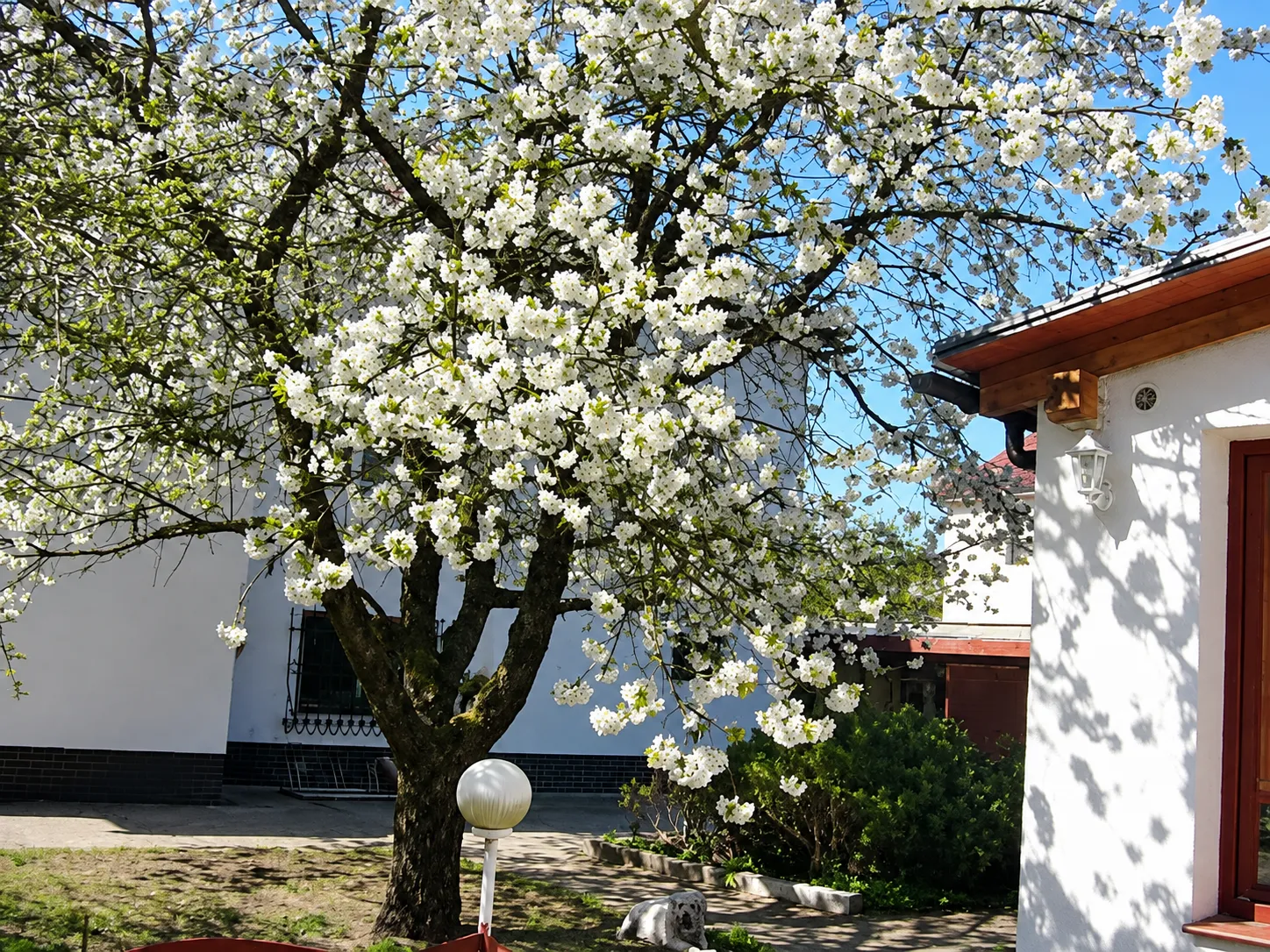 Restaurace – Diana a Máchovo jezero, fotografie 5